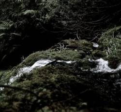 Pyramids : Pyramids with Nadja